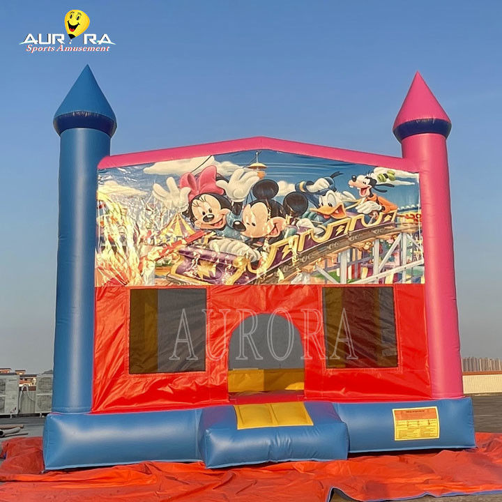 خارج از منزل تجاری بادکنک PVC رنگارنگ بزرگسالان بچه ها پریدن قلعه