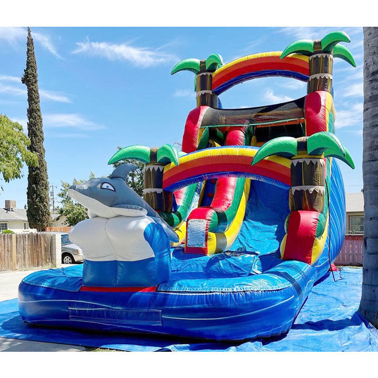 اسلاید آب قابل انفجار اسلاید پرش پارتی Pvc 18ft Dolphin Water Slide برای استخر