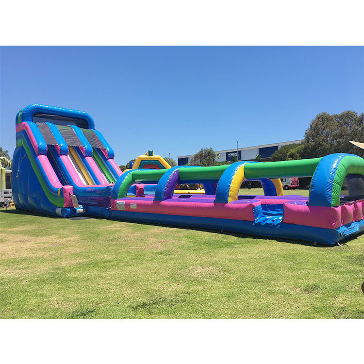 اسلاید آب قابل انفجار اسلاید پرش پارتی Pvc 18ft Dolphin Water Slide برای استخر